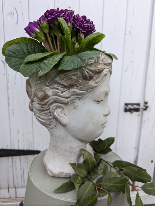 Pflanzkopf Büste Frauenkopf Steinguss grau