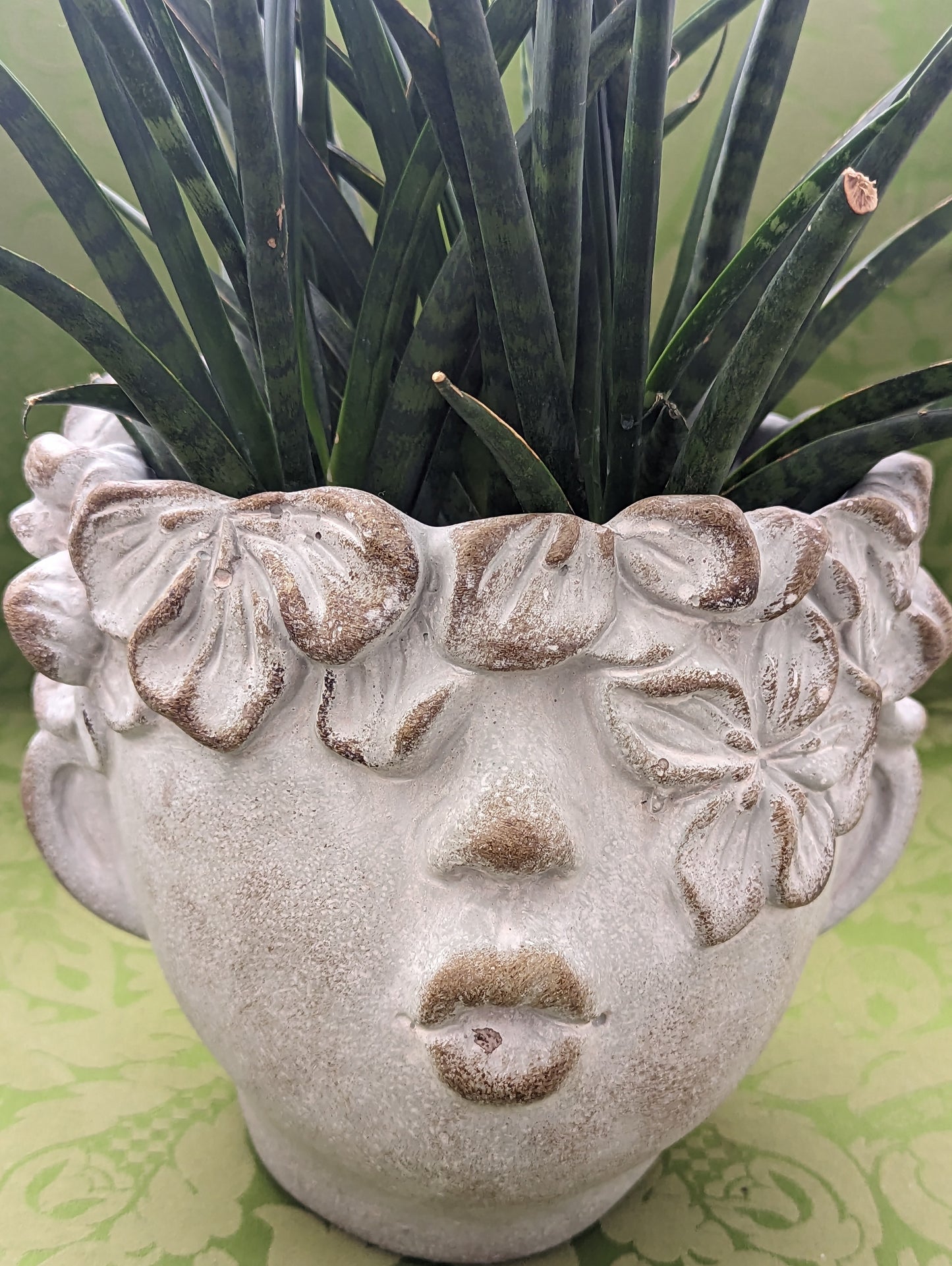 Pflanzkopf Flora Beton gross